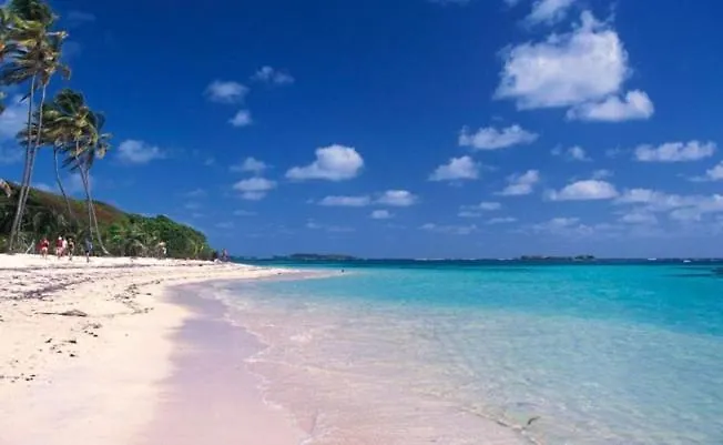 Paradis Turquoise Locations Les Trois-Ilets Lägenhet
